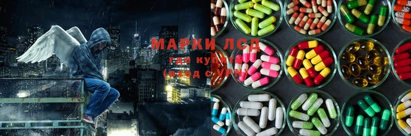 прущий лед Алзамай