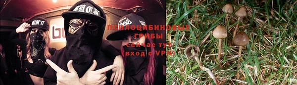 прущий лед Алзамай